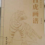 Hundred Tiger drawings